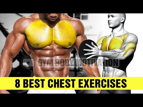 8 Best Chest Exercises YOU Should Be Doing