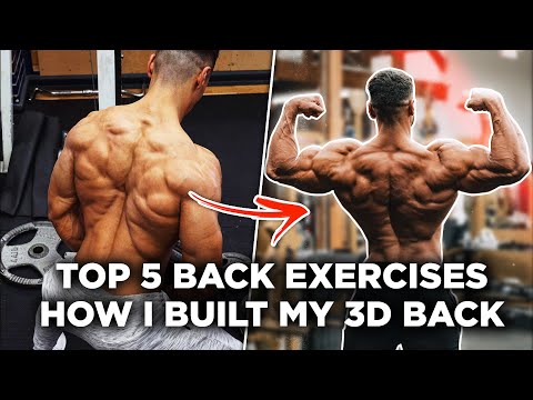 HOW I BUILT MY 3D BACK! – 5 Best Back Exercises!