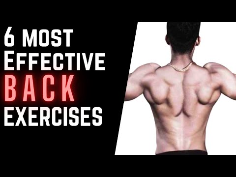 Best 6 back exercises | Back workout – Fitness majesty